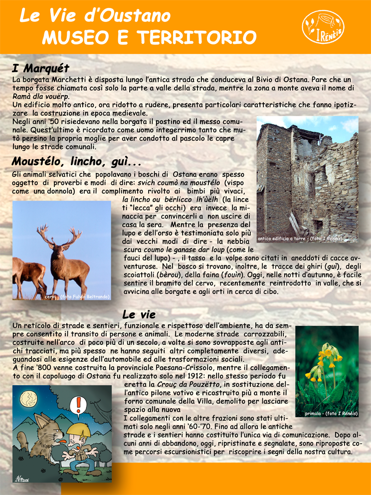 pannello n.16