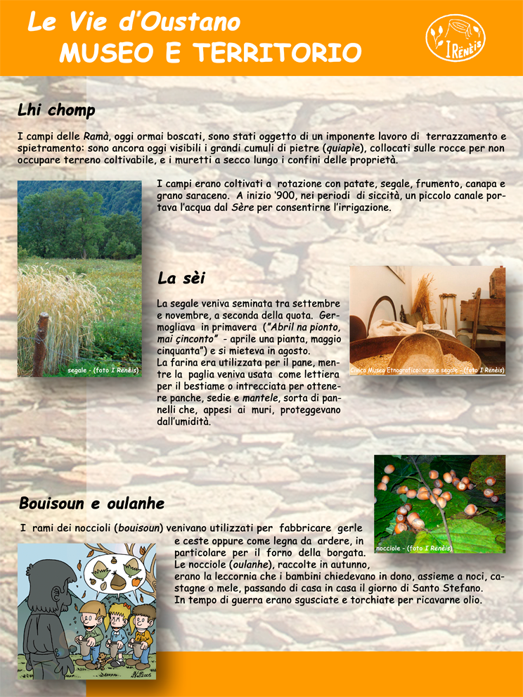 pannello n.17