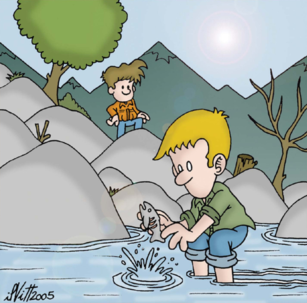 vignetta