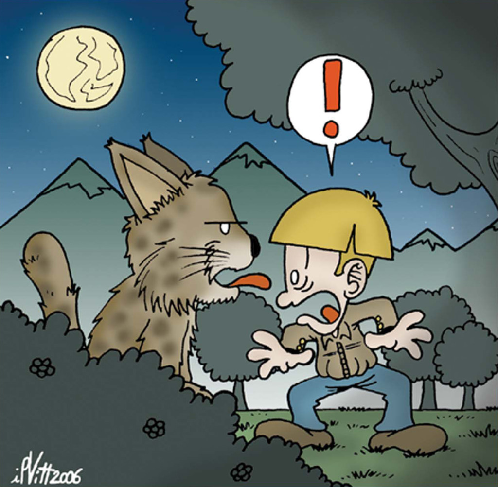 vignetta