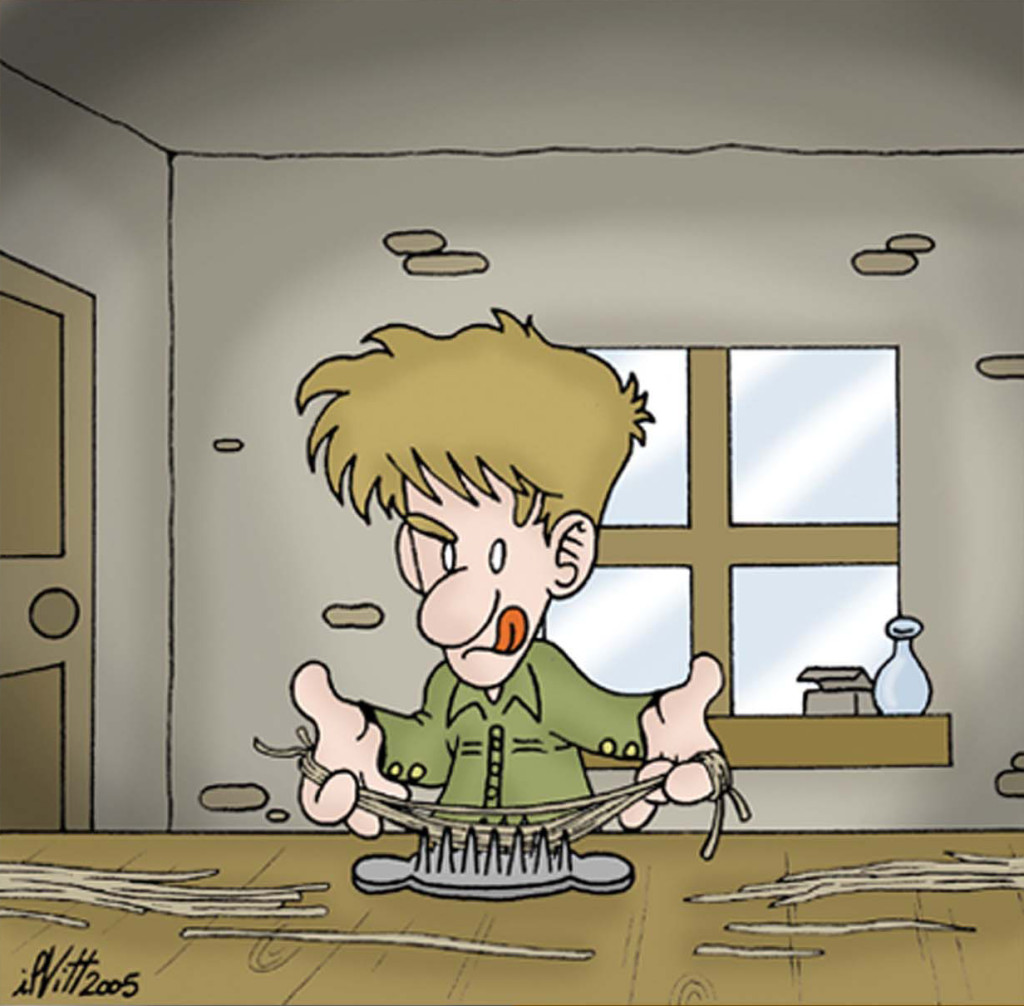 vignetta
