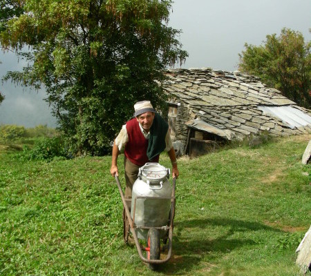 Dopo la mungitura