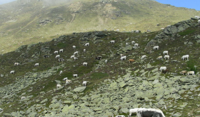 Verso Pion des Fountane
