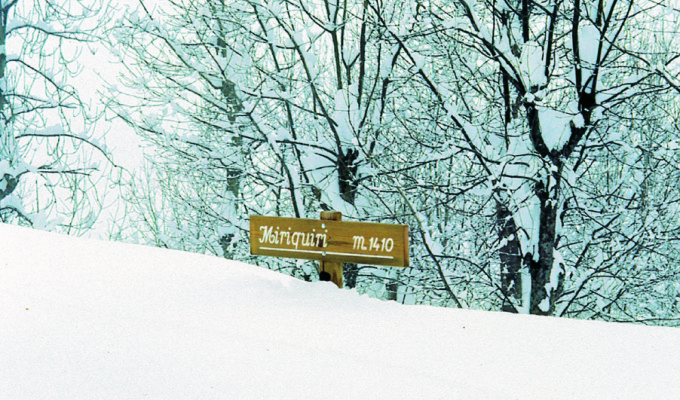 nella neve