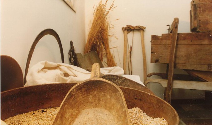 sala 4 _segale0051